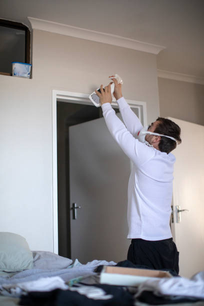 Reliable Westminster, LA Mold Removal Solutions