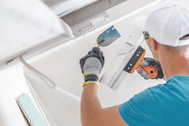 Best Water Damage & Mold Remediation  in Westminster, LA